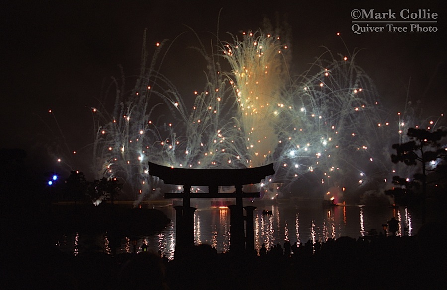 Travelling Tuesday: Japan {or} Are My Eyes Deceiving Me?