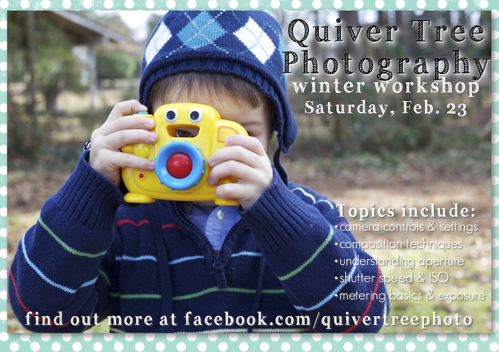 Quiver Tree Photography :: Winter Workshop
