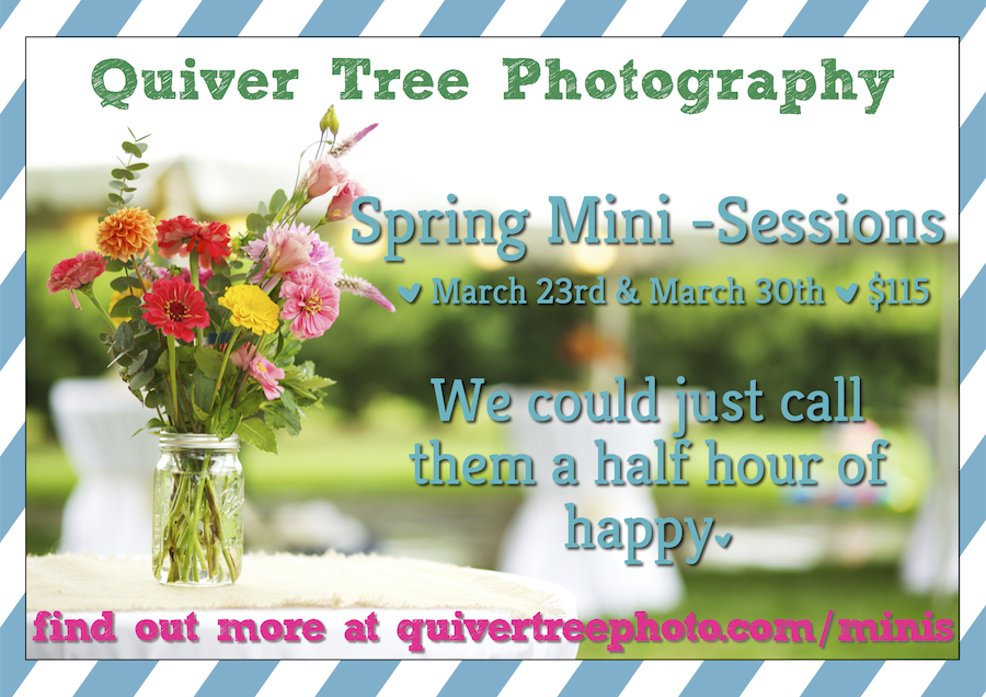 Spring Mini-Sessions are Coming!